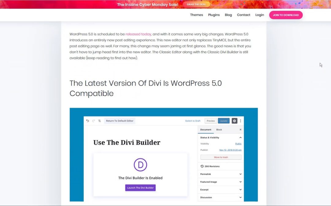 WordPress 5.0 – Gutenberg & Divi – When and how to update